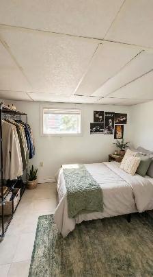 Basement Bedroom w/Separate Entrance. 5 mins to Western - Photo 4