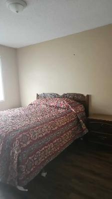 Private furnitured room and living room for rent