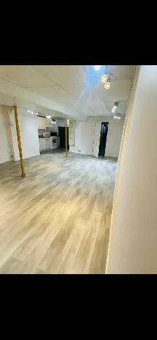 1 bedroom basement suite available for rent now !