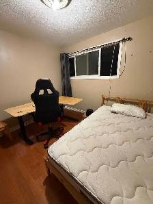 Bedroom close to Algonquin available Nov 1 - Photo 8