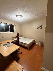Bedroom close to Algonquin available Nov 1 - Photo 9
