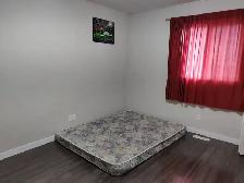 Beautiful 2-Bedroom  Upper Level for Rent available from 01/Nov - Photo 4