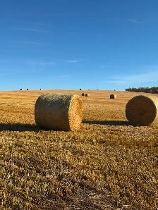 Barley Straw Round Bales - Photo 2