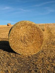 Barley Straw Round Bales - Photo 3