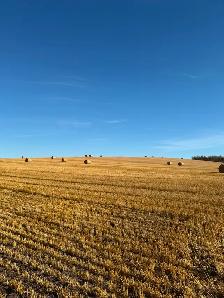 Barley Straw Round Bales - Photo 4