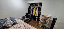 Private Basement Room For Rent in Waterloo - All inclusive - Photo 4