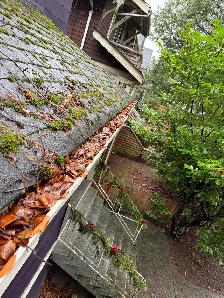 Gutter Cleaning(Vancouver,Burnaby,Surrey,Coquitlam)