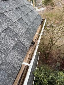 Gutter Cleaning(Vancouver,Burnaby,Surrey,Coquitlam) - Photo 2