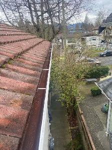 Gutter Cleaning(Vancouver,Burnaby,Surrey,Coquitlam) - Photo 3