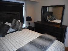 Fully Furnished 1 Bedroom Condo For Rent, S.Side Near Whyte Ave. - Photo 6