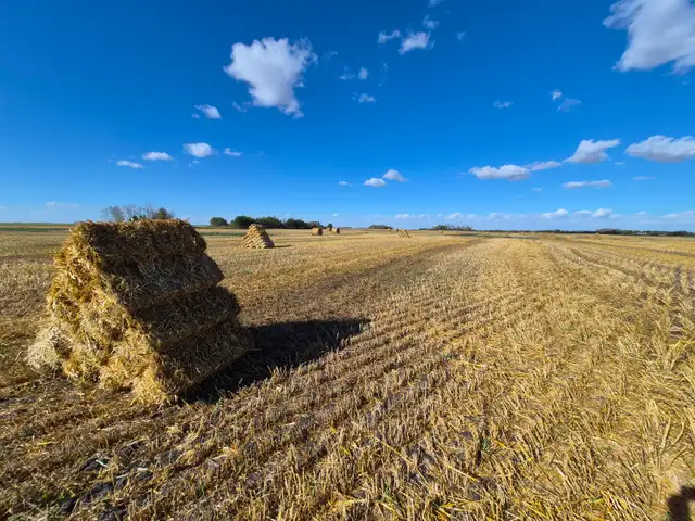 Square Straw Bales