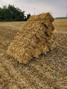 Square Straw Bales - Photo 2