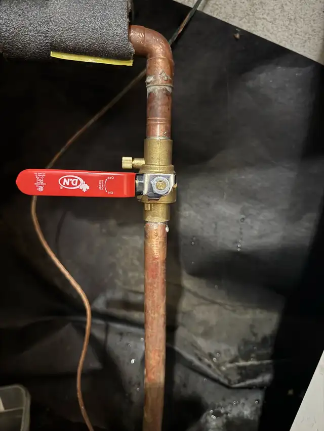Licensed plumber