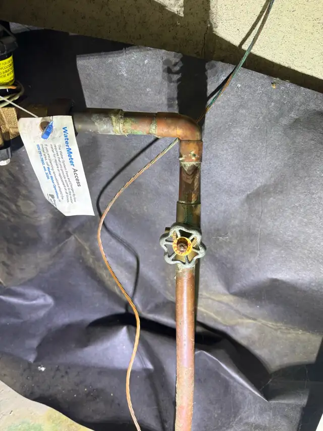 licensed plumber