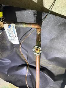 licensed plumber