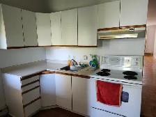 Plateau Mile-End 3 1/2 - Photo 4