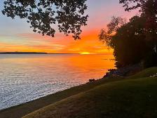 Waterfront House for rent - Photo 6