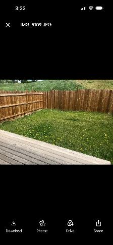 QUALITY, OPEN, 3 BEDROOM, GARAGE & FENCED YARD, FRANK ROSS AREA - Photo 9