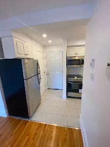 Bachelor unit available December 1st in Centretown!