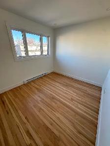 Sector P Brossard - Photo 5