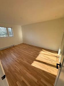 Sector P Brossard - Photo 10