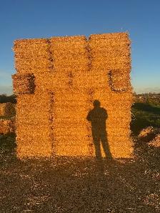 square straw bales