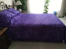 King Duvet Cover Set and Queen Sheet Set