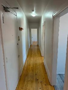 3 Bedroom Centretown Apartment for Rent (353 Frank St) - Photo 6