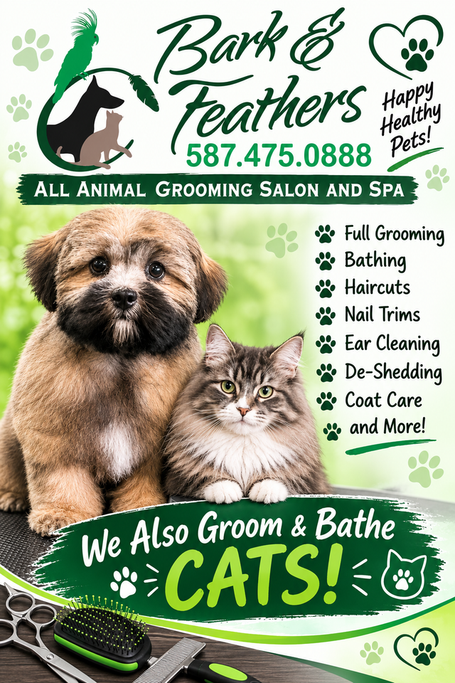 Dog and cat grooming appts available