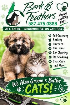 Dog and cat grooming appts available