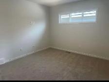 Basement for rent in Calgary NE - Photo 2