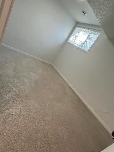 Basement for rent in Calgary NE - Photo 3