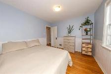 House for Rent - Available Immediately - Lord Roberts Area - Photo 3