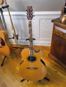 Guitare Washburn acoustique et électrique