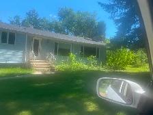 Bright & sunny raised bungalow bsmt room on the farm in the city - Photo 2