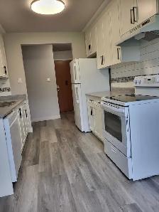 Spacious 2 Bedroom Suite Available for Rent October 7th