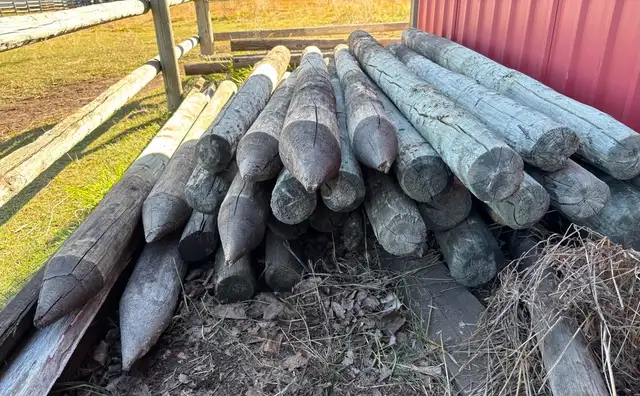 Fence Posts 7ft X 4 and 5 inches