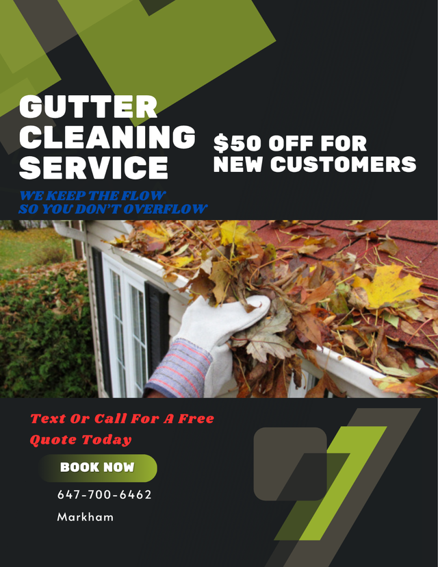 Gutter Cleaning Markham