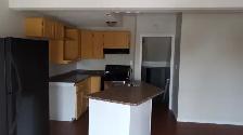 Spacious Split Level 1 Bedroom Basement with Storage & Fireplace