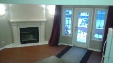 Spacious Split Level 1 Bedroom Basement with Storage & Fireplace - Photo 2