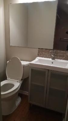Spacious Split Level 1 Bedroom Basement with Storage & Fireplace - Photo 6