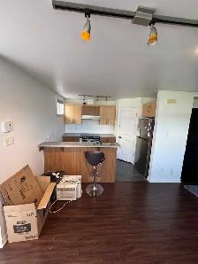 Appartement grand 3/2 à louer pour le 1 novembre 2026 , à Beauha - Photo 7