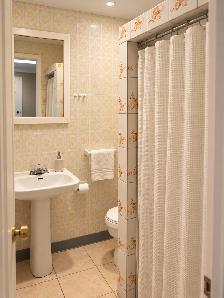 2 ½ à louer – 950 $/mois, tout inclus Métro Cadilla (HOCHELAGA) - Photo 6