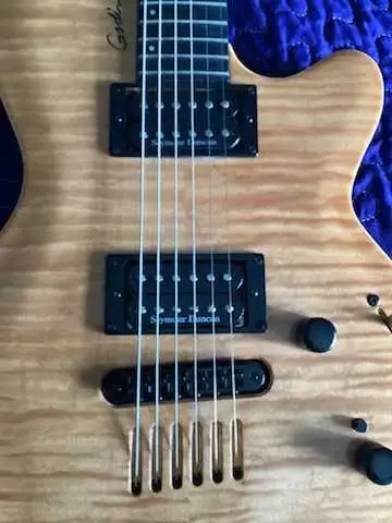 2009 Godin Summit   soft case- reply to -  jjdoherty3@gmail.com