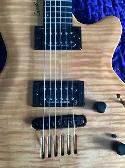 2009 Godin Summit   soft case- reply to -  jjdoherty3@gmail.com