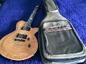 2009 Godin Summit   soft case- reply to -  jjdoherty3@gmail.com - Photo 4