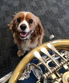 French Horn Lessons in Ottawa – Professional Soloist & Educator - Photo 5
