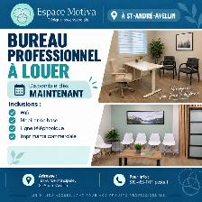 Bureau professionnel à louer!