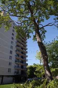 December  two  bed  in  Rockcliffe Park only $1799.00