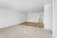 Marie Chavoin | 4 1/2 | 2 Chambres | 2 Bdrm | Hull - Photo 5